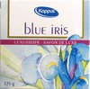 Kappus Blue Iris